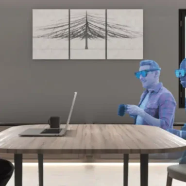 What is a holo meeting