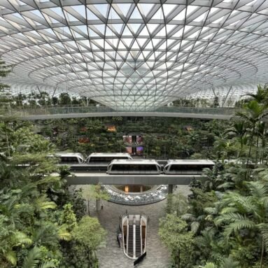 Understanding the Concept of Biophilic Design
